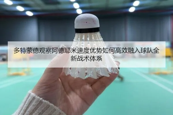 多特蒙德观察阿德耶米速度优势如何高效融入球队全新战术体系