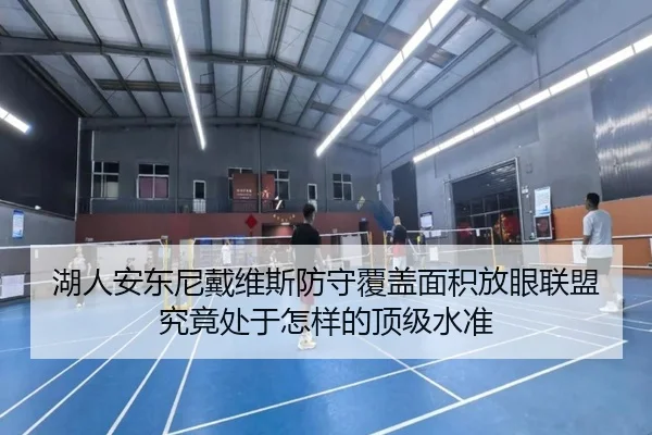 湖人安东尼戴维斯防守覆盖面积放眼联盟究竟处于怎样的顶级水准