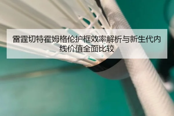 lei-ting-qie-te-huo-mu-ge-lun-hu-kuang-xiao-lv-jie-xi-yu-xin-sheng-dai-nei-xian-jia-zhi-quan-mian-bi-jiao-2-403.jpg