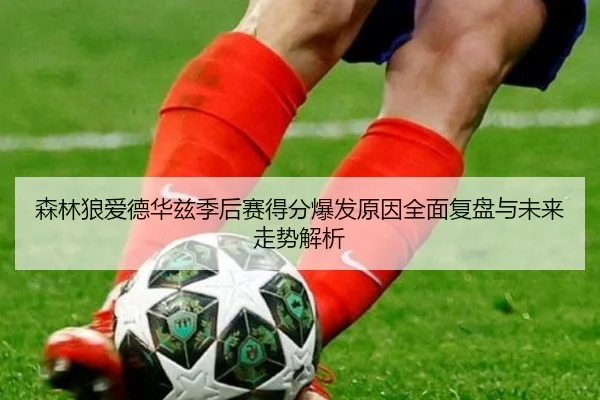 森林狼爱德华兹季后赛得分爆发原因全面复盘与未来走势解析